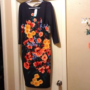 Eci New York floral sheath dress